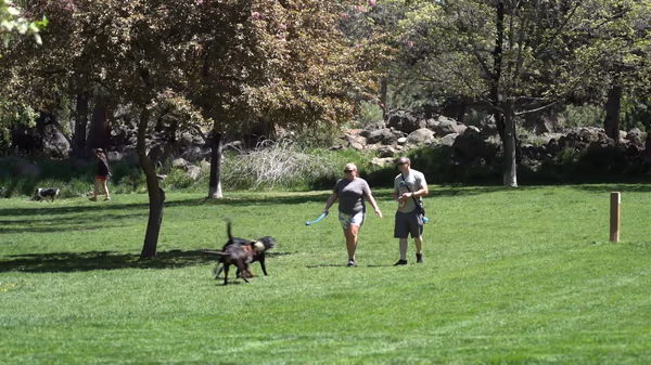 Dog Park at Hollinshead Park